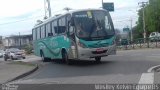 Rosa Turismo 13046 na cidade de Sorocaba, São Paulo, Brasil, por Weslley Kelvin Batista. Número da foto: #4183315.