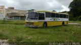 Ônibus Particulares  na cidade de Recife, Pernambuco, Brasil, por Paulo Lucas. ID da foto: :id.