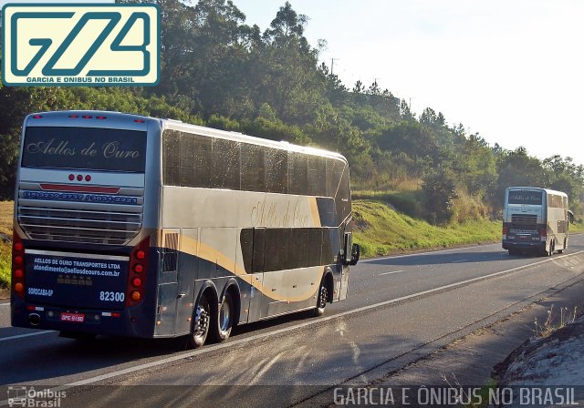 Bia Turismo > Aellos de Ouro 82300 na cidade de Sorocaba, São Paulo, Brasil, por EDUARDO - SOROCABUS. Número da foto: #4190312.