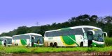 Verde Transportes 2535 na cidade de Guaíra, Paraná, Brasil, por Eduardo Benetti . Número da foto: #4191711.