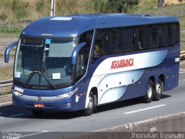 Viação Águia Branca 31880 na cidade de Lavrinhas, São Paulo, Brasil, por Jhonatan Diego da Silva Trevisan. Número da foto: #4193325.