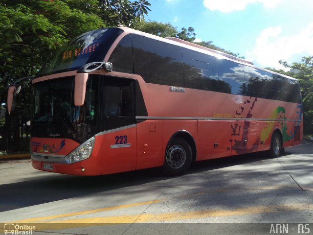 Chilebus Internacional 223 na cidade de São Paulo, São Paulo, Brasil, por Alexandre Rodrigo. Número da foto: #4195762.