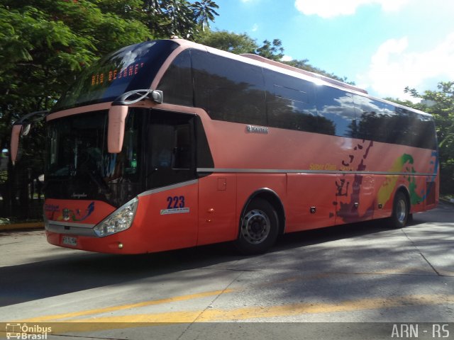 Chilebus Internacional 223 na cidade de São Paulo, São Paulo, Brasil, por Alexandre Rodrigo. ID da foto: 4195762.