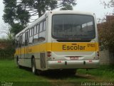 Transportes Coletivos Nossa Senhora da Piedade EP1623 na cidade de Campo Largo, Paraná, Brasil, por Alessandro Fracaro Chibior. Número da foto: #4196498.