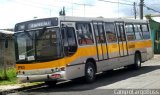 Transportes Coletivos Nossa Senhora da Piedade EP1623 na cidade de Campo Largo, Paraná, Brasil, por Alessandro Fracaro Chibior. Número da foto: #4196496.