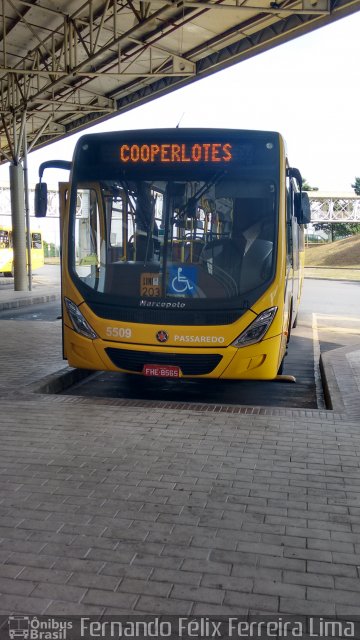 Passaredo Transporte e Turismo 5509 na cidade de Paulínia, São Paulo, Brasil, por Fernando Félix Ferreira Lima. Número da foto: #4199971.