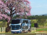 Nobre Turismo 2080 na cidade de Aparecida de Goiânia, Goiás, Brasil, por Marcio  Bruxel. Número da foto: #4161943.