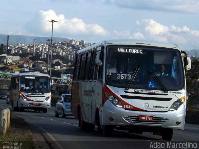 Rouxinol 1635 na cidade de Belo Horizonte, Minas Gerais, Brasil, por Adão Raimundo Marcelino. Número da foto: #4204376.