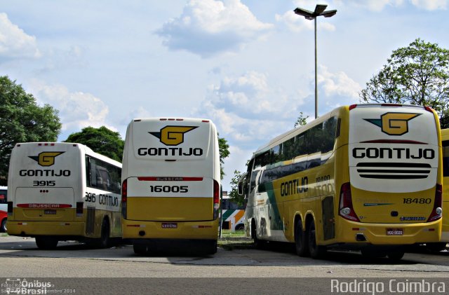 Empresa Gontijo de Transportes 16005 na cidade de São Paulo, São Paulo, Brasil, por Rodrigo Coimbra. Número da foto: #4204059.