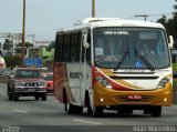 Rouxinol 610 na cidade de Belo Horizonte, Minas Gerais, Brasil, por Adão Raimundo Marcelino. Número da foto: #4204451.