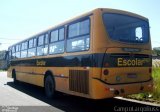 Transportes Coletivos Nossa Senhora da Piedade EP1631 na cidade de Campo Largo, Paraná, Brasil, por Alessandro Fracaro Chibior. Número da foto: #4203749.