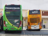 Pássaro Verde 2013 na cidade de Brasília, Distrito Federal, Brasil, por Fernando Pereira Azevedo de Sousa. Número da foto: #:id.