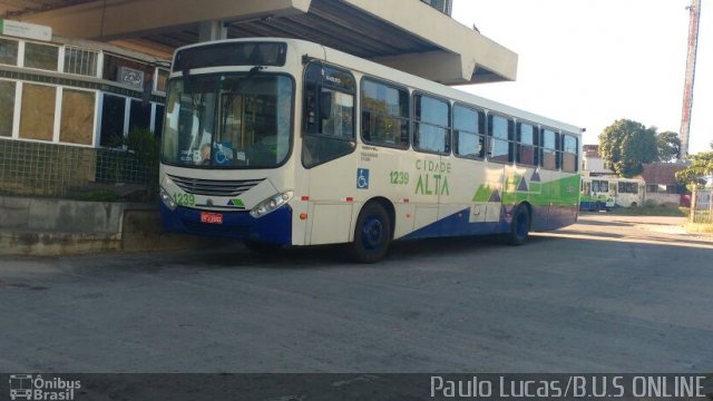 Cidade Alta Transportes 1.239 na cidade de Recife, Pernambuco, Brasil, por Paulo Lucas. Número da foto: #4209428.