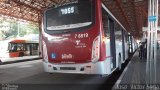 Transwolff Transportes e Turismo 7 8819 na cidade de São Paulo, São Paulo, Brasil, por José  Victor Sena. Número da foto: #:id.