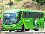 Pássaro Verde 11095 na cidade de Ponte Nova, Minas Gerais, Brasil, por Adriano  Almeida. Número da foto: #:id.
