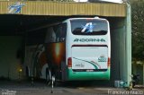 Empresa de Transportes Andorinha 5032 na cidade de Assis, São Paulo, Brasil, por Francisco Ivano. Número da foto: #:id.