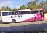 Hibisco Turismo 900 na cidade de Ouro Preto, Minas Gerais, Brasil, por Valter Silva. Número da foto: #:id.