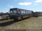 Transportes Coletivos Pérola do Oeste 0100 na cidade de Guarapuava, Paraná, Brasil, por Lucas Henrique Mendes. Número da foto: #4222585.