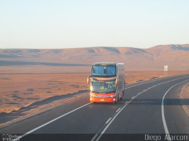 Pullman Bus  na cidade de , por Diego Alarcon. Número da foto: #4165207.