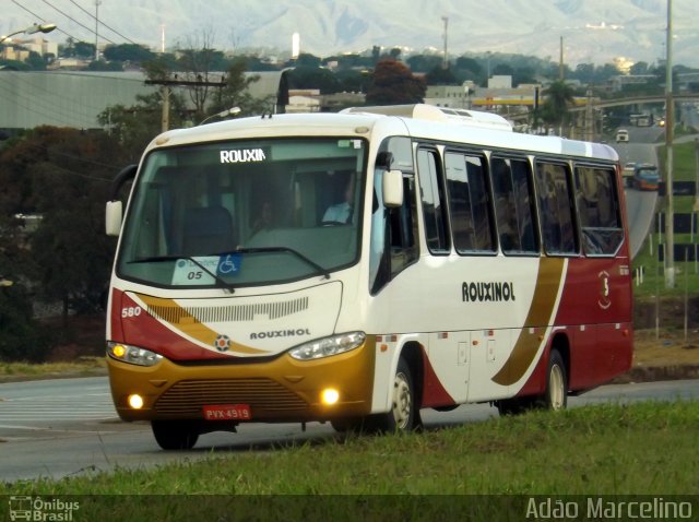 Rouxinol 580 na cidade de Belo Horizonte, Minas Gerais, Brasil, por Adão Raimundo Marcelino. ID da foto: 4165859.