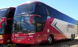 Hibisco Turismo 1000 na cidade de Caldas Novas, Goiás, Brasil, por Carlos Júnior. Número da foto: #4164848.