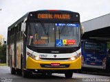 Transcel > CS Brasil 110943 na cidade de Mogi das Cruzes, São Paulo, Brasil, por Gabriel Almeida. Número da foto: #4224272.