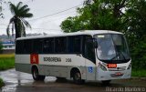 Borborema Imperial Transportes 2136 na cidade de Recife, Pernambuco, Brasil, por Ricardo Silva Monteiro. ID da foto: :id.