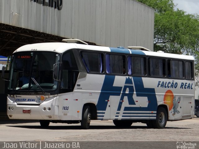 Falcão Real 1035 na cidade de Juazeiro, Bahia, Brasil, por João Victor. ID da foto: 4229937.