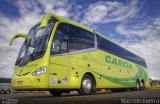 Viação Garcia 7919 na cidade de Londrina, Paraná, Brasil, por Marcelo Guerra. Número da foto: #4228937.