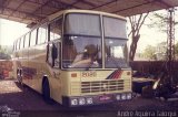 Ônibus Particulares 2020 na cidade de Londrina, Paraná, Brasil, por André Aguirra Taioqui. Número da foto: #4229513.