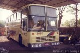 Ônibus Particulares 2020 na cidade de Londrina, Paraná, Brasil, por André Aguirra Taioqui. ID da foto: :id.