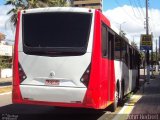 Ônibus Particulares 3247 na cidade de Natal, Rio Grande do Norte, Brasil, por John Herbert. Número da foto: #4251219.
