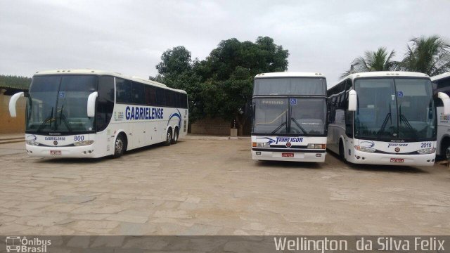 Trans Igor Transportes e Turismo 2005 na cidade de São Gabriel da Palha, Espírito Santo, Brasil, por Wellington  da Silva Felix. Número da foto: #4253468.