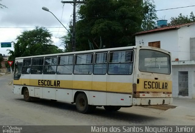 Escolares 8047 na cidade de Piritiba, Bahia, Brasil, por Mario dos Santos Nogueira Junior. ID da foto: 4259685.