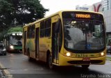 Viação Garcia 7675 na cidade de Maringá, Paraná, Brasil, por Otavio Augusto  Soares. Número da foto: #4263566.