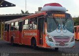 VCG - Viação Campos Gerais 1377 na cidade de Ponta Grossa, Paraná, Brasil, por Ricardo Grott. Número da foto: #4262384.
