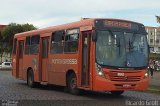 VCG - Viação Campos Gerais 1155 na cidade de Ponta Grossa, Paraná, Brasil, por Ricardo Grott. Número da foto: #4267408.