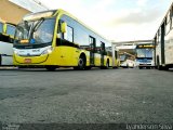 Viação Pioneira 226246 na cidade de Brasília, Distrito Federal, Brasil, por Lyanderson Silva. Número da foto: #4268816.