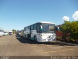 Borba Tur 3020 na cidade de Goiânia, Goiás, Brasil, por Itamar Lopes da Silva. Número da foto: #4272987.
