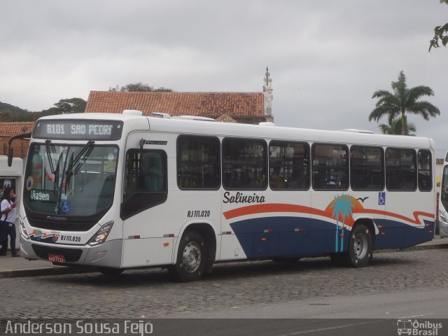 Auto Viação Salineira RJ 111.020 na cidade de Cabo Frio, Rio de Janeiro, Brasil, por Anderson Sousa Feijó. Número da foto: #4275597.