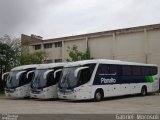 Planalto Transportes 1444 na cidade de Pelotas, Rio Grande do Sul, Brasil, por Gabriel  Morosoli. Número da foto: #4278636.