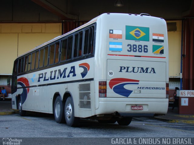 Pluma Conforto e Turismo 3886 na cidade de Sorocaba, São Paulo, Brasil, por EDUARDO - SOROCABUS. ID da foto: 4286716.