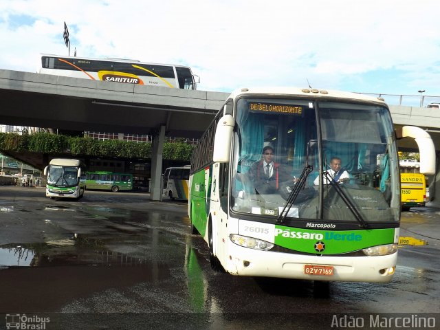 Pássaro Verde 26015 na cidade de Belo Horizonte, Minas Gerais, Brasil, por Adão Raimundo Marcelino. ID da foto: 4288791.