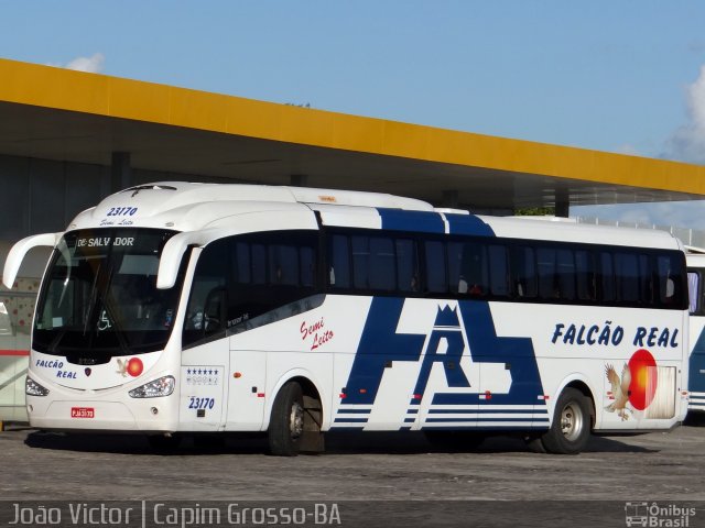 Falcão Real 23170 na cidade de Capim Grosso, Bahia, Brasil, por João Victor. Número da foto: #4233882.