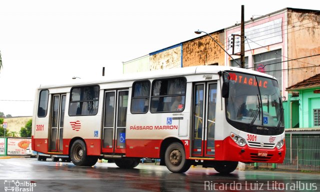 Empresa de Ônibus Pássaro Marron 3001 na cidade de Aparecida, São Paulo, Brasil, por Ricardo Luiz. ID da foto: 4236084.