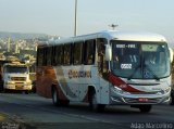 Rouxinol 420 na cidade de Belo Horizonte, Minas Gerais, Brasil, por Adão Raimundo Marcelino. Número da foto: #4236135.