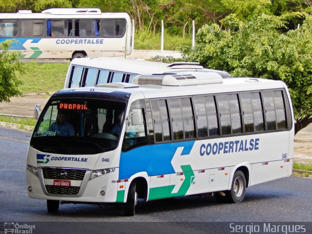 Coopertalse 046 na cidade de Aracaju, Sergipe, Brasil, por Sergio Marques . Número da foto: #4238696.