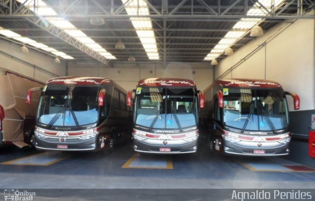 Santa Maria Fretamento e Turismo > Transportes Santa Maria(SP) 500 na cidade de São Bernardo do Campo, São Paulo, Brasil, por Agnaldo Penides. Número da foto: #4244623.