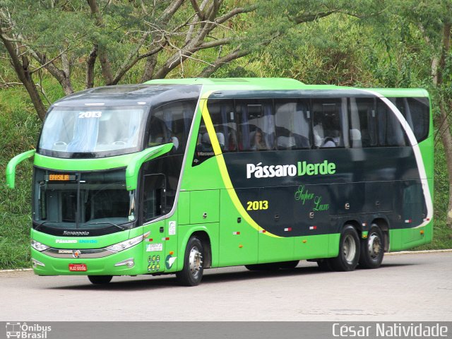 Pássaro Verde 2013 na cidade de Mariana, Minas Gerais, Brasil, por César Natividade. Número da foto: #4245040.