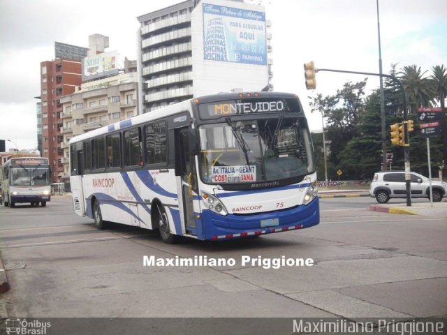 Raincoop 75 na cidade de Ecoporanga, Espírito Santo, Brasil, por Maximiliano Priggione  Maximilianopriggione. Número da foto: #4243341.